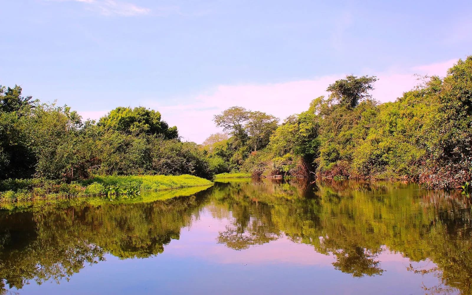 A calm river mirroring lush green banks under a soft evening sky, Pantanal, Brazil