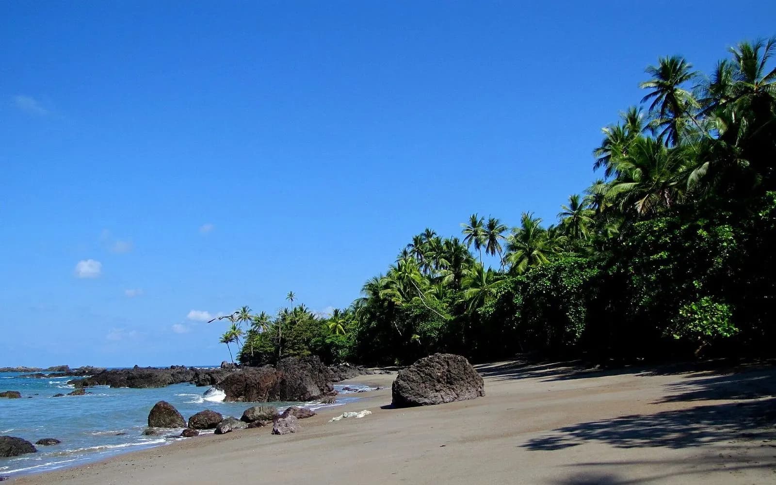 Palm-fringed beach with dark boulders and blue sky in Corcovado, Osa Peninsula, Costa Rica