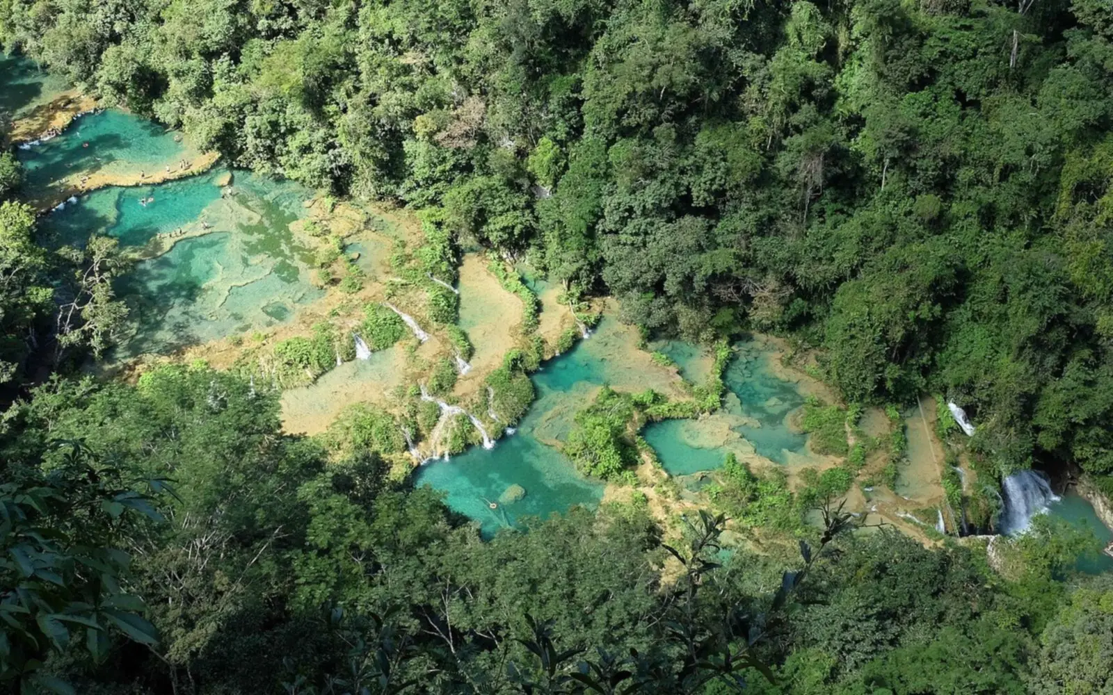 Turquoise limestone pools seen from above amid dense forest at Semuc Champey, Guatemala