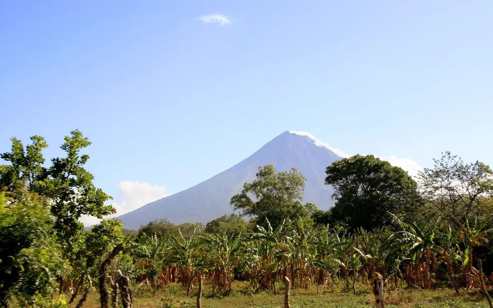 Concepción volcano rising above banana fields and trees under a blue sky, Ometepe Island, Nicaragua