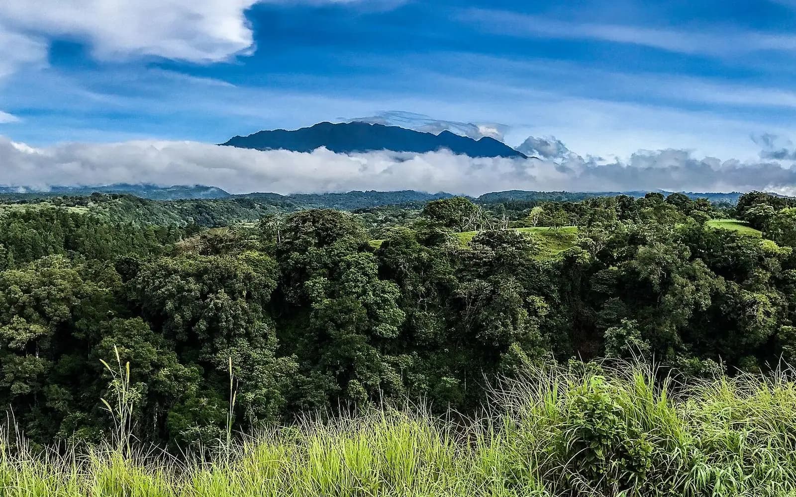Volcán Barú rising above a bank of cloud over forested hills near Boquete, Panama