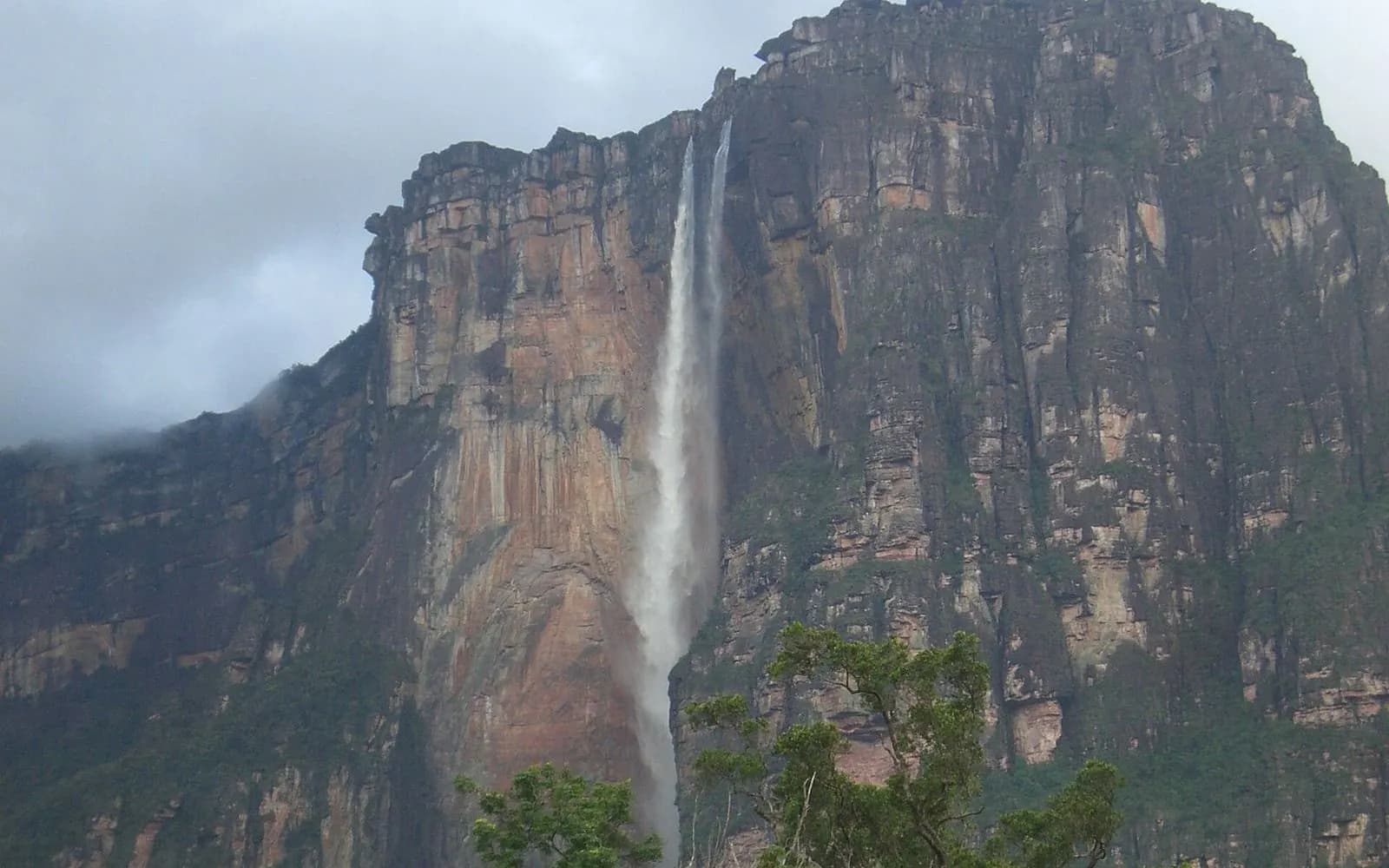 Angel Falls plunging down the vertical red cliff of Auyán-tepui above the forest, Angel Falls, Venezuela