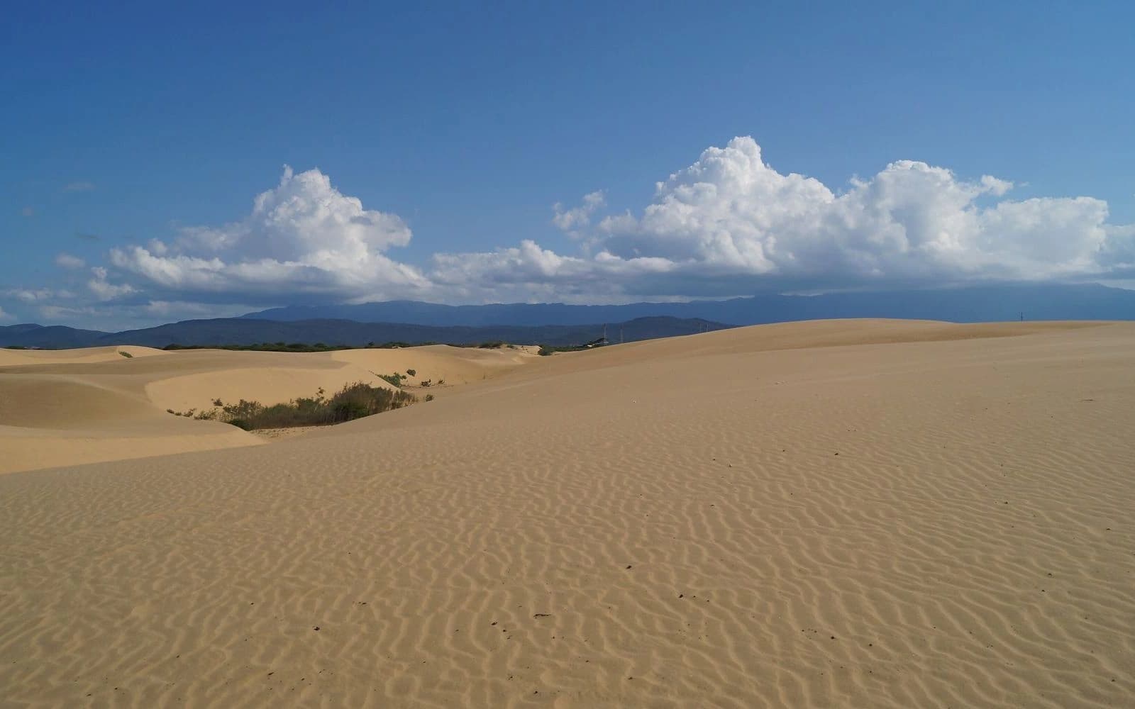 Rippled golden sand dunes under puffy white clouds at the Médanos de Coro, Coro, Venezuela