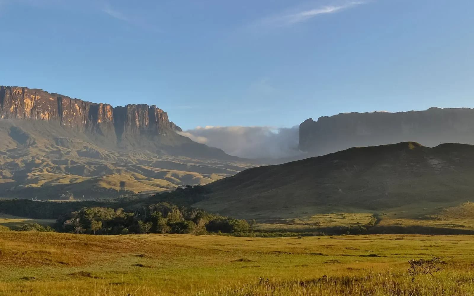 Mount Roraima and Kukenán tepui rising above golden grassland on the Gran Sabana, Gran Sabana, Venezuela