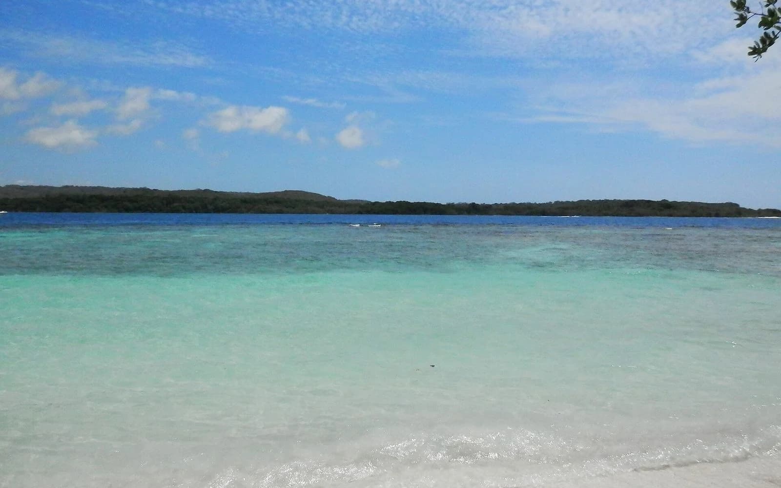Clear turquoise shallows over white sand with a low green cay beyond, Morrocoy, Venezuela